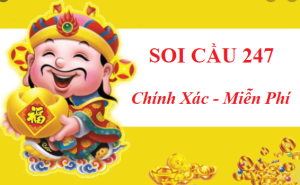 Soi cầu Gia Lai 247 có một đội ngũ chuyên gia giàu kinh nghiệm và am hiểu sâu sắc về các phân tích số liệu xổ số